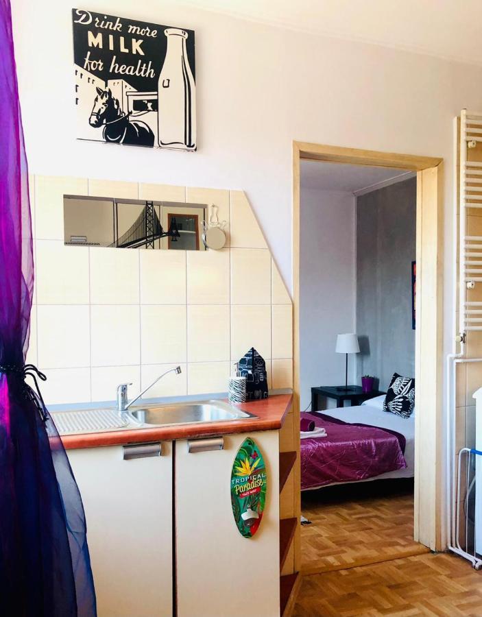 Mieszkanie W Srodmiesciu Blisko Rynku Wałbrzych Esterno foto