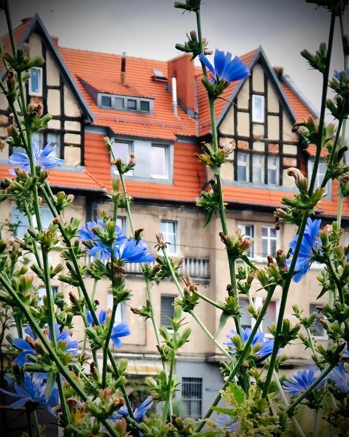 Mieszkanie W Srodmiesciu Blisko Rynku Wałbrzych Esterno foto